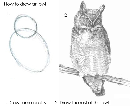 publicDomain_owl.jpg